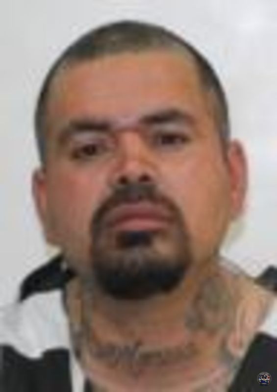 Booking photo of JORGE ALBERTO ELIZONDO