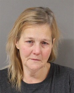 Booking photo - BASLER, BRENDA - Blount, Alabama