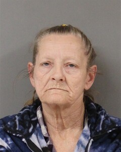 Booking photo - BLUE, LINDA - Blount, Alabama