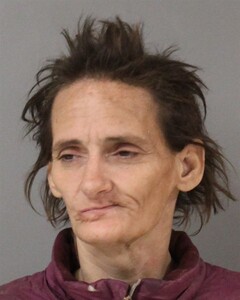 Booking photo - BURNS, SHANNON - Blount, Alabama