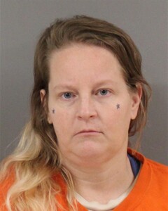 Booking photo - DAVIS, HOLLY - Blount, Alabama