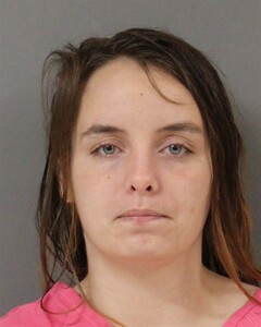 Booking photo - DENNIS, LEISA - Blount, Alabama