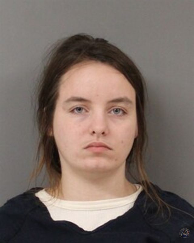 Booking photo of DENNIS, LEISA