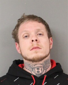 Booking photo of ELKINS, BRIAN