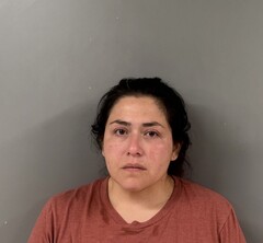 Booking photo of ETRESS, EVELYN