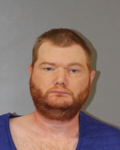 Booking photo - FIELDS, JUSTIN - Blount, Alabama