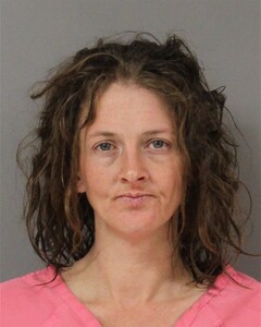 Booking photo - FORSYTH, HOLLY - Blount, Alabama