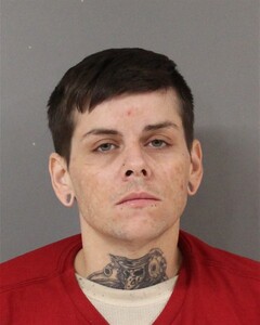 Booking photo - FULLER, AMANDA - Blount, Alabama