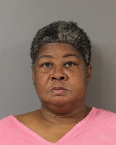 Booking photo - GOODSON, PATRICIA - Blount, Alabama