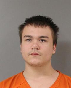 Booking photo - JOHNSON, DAKOTA - Blount, Alabama