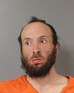 Booking photo - LAUDERDALE, BLAKE - Blount, Alabama