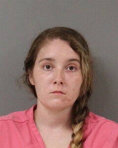 Booking photo - LEE, DEANNA - Blount, Alabama