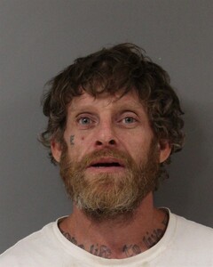 Booking photo - LITTLE, JAMES - Blount, Alabama