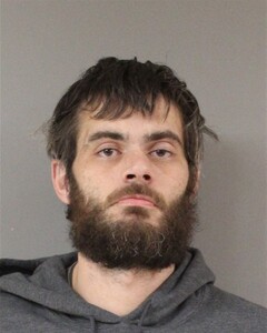 Booking photo - MCQUEEN, PATRICK - Blount, Alabama