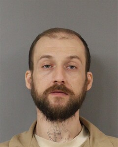 Booking photo - MORGAN, MICHAEL - Blount, Alabama