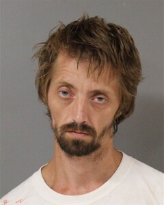 Booking photo of POWELL, WILLIAM