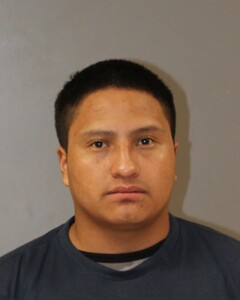 Booking photo - PU, ALEX - Blount, Alabama