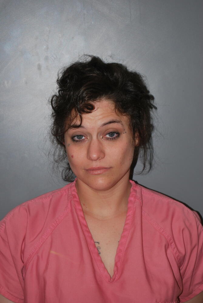 Booking photo - ROGERS, RENE - Blount, Alabama