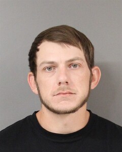 Booking photo - SPRAYBERRY, ELIJAH - Blount, Alabama