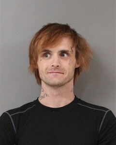 Booking photo - STALLINGS, MICHAEL - Blount, Alabama