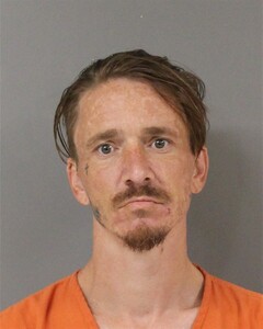 Booking photo - TOWNSELL, THOMAS - Blount, Alabama