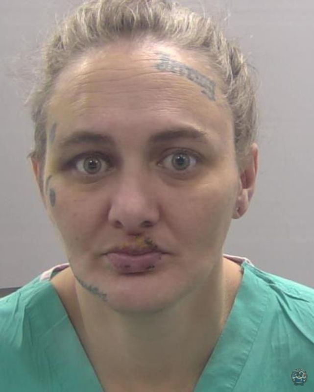 Booking photo of Dowson Kristin Marie