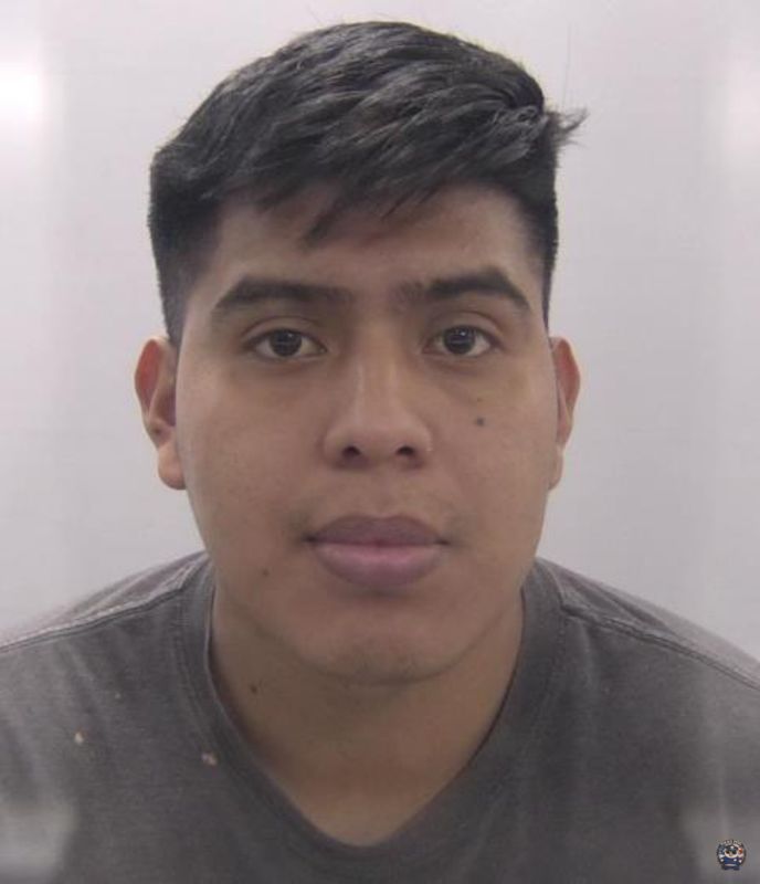 Booking photo of ESCOBEDO-MATIAS DANY