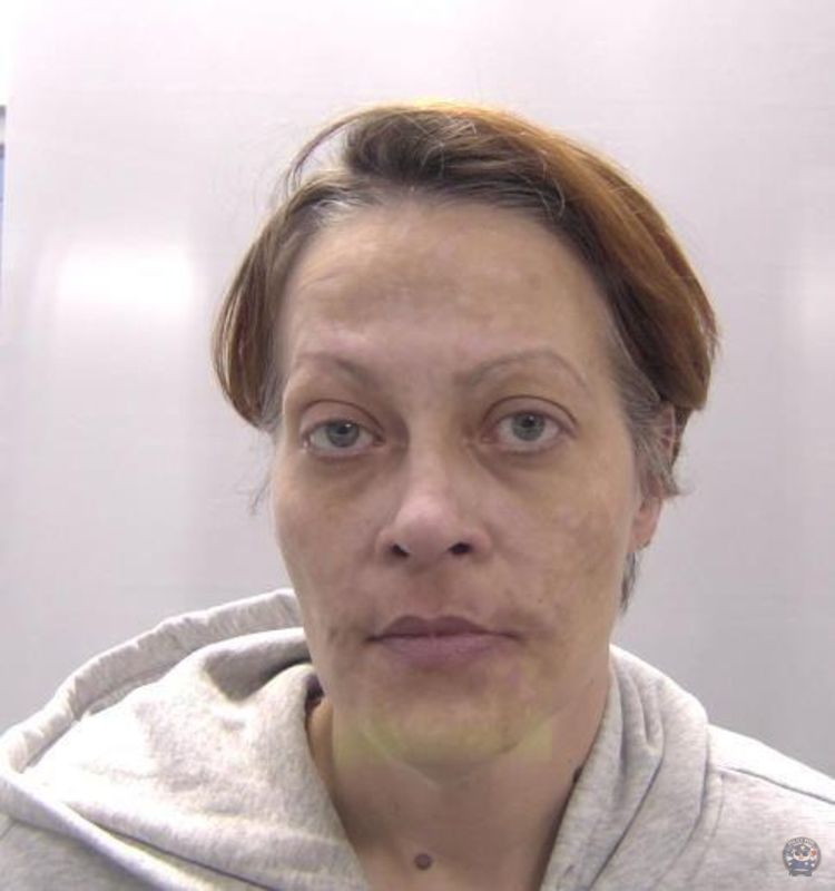 Booking photo of Sutton Michele Lee