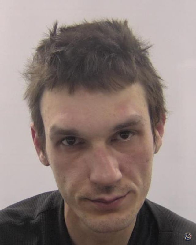 Booking photo of Barnes William Wesley