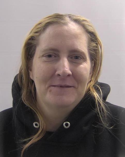 Booking photo of Newbold Robin Marie