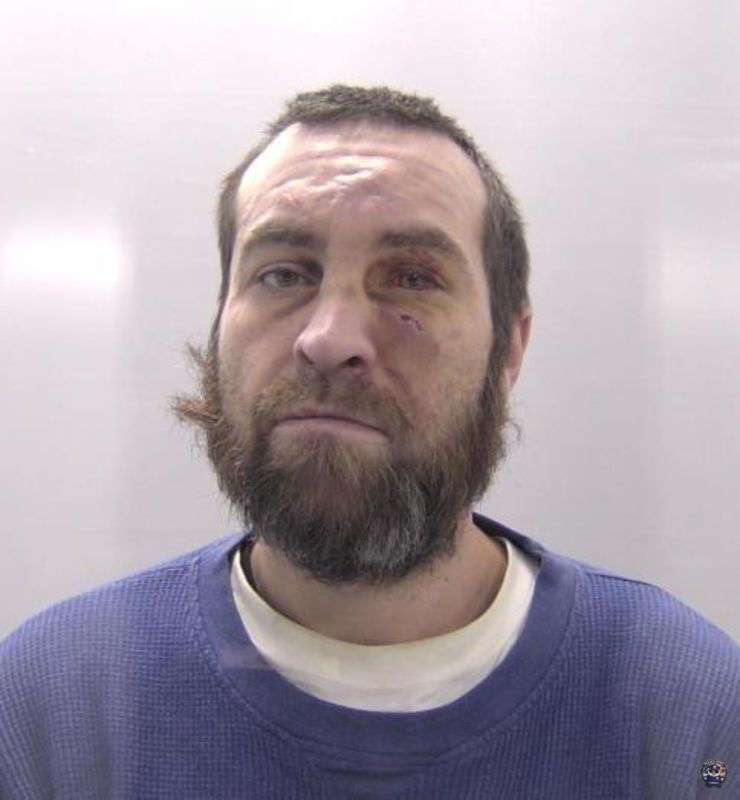 Booking photo of Paulson Austin Leonard