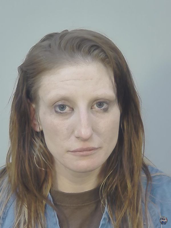 Booking photo of ALISHA RENEE LAVINE