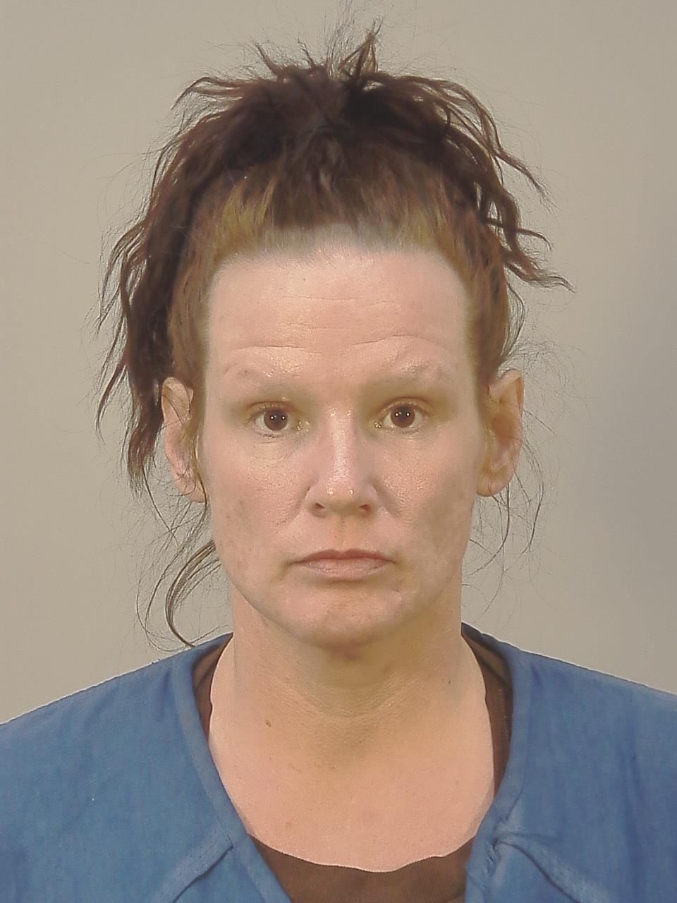 Booking photo - AMANDA FRANCINE FOX - Dane, Wisconsin
