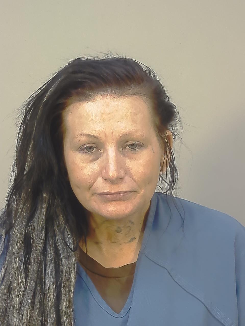 Booking photo - AMANDA LYNN HARTWIG - Dane, Wisconsin