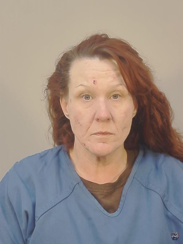 Booking photo of ANGELA LEE LARSON