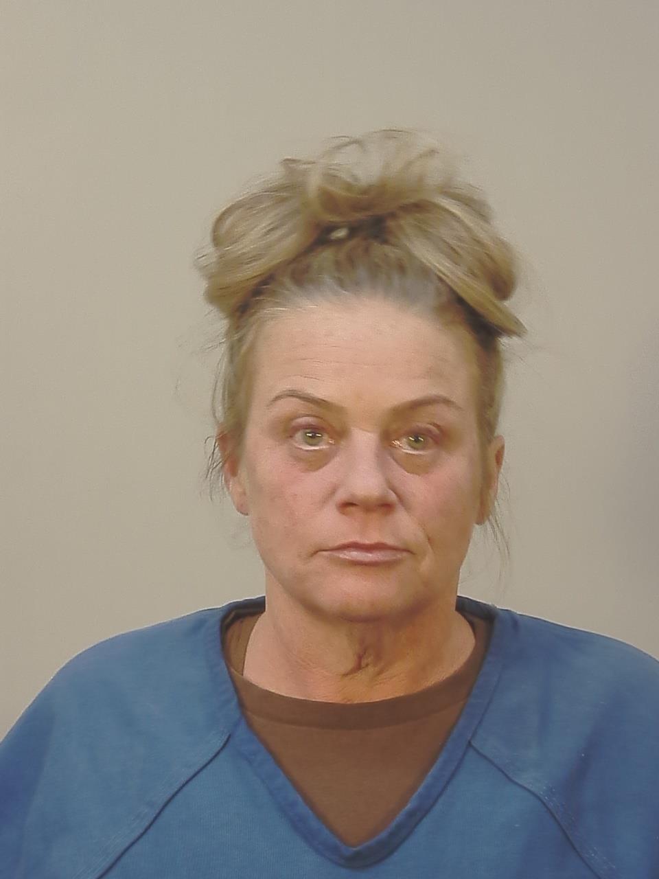 Booking photo of BRANDI LYNN JOHNSON