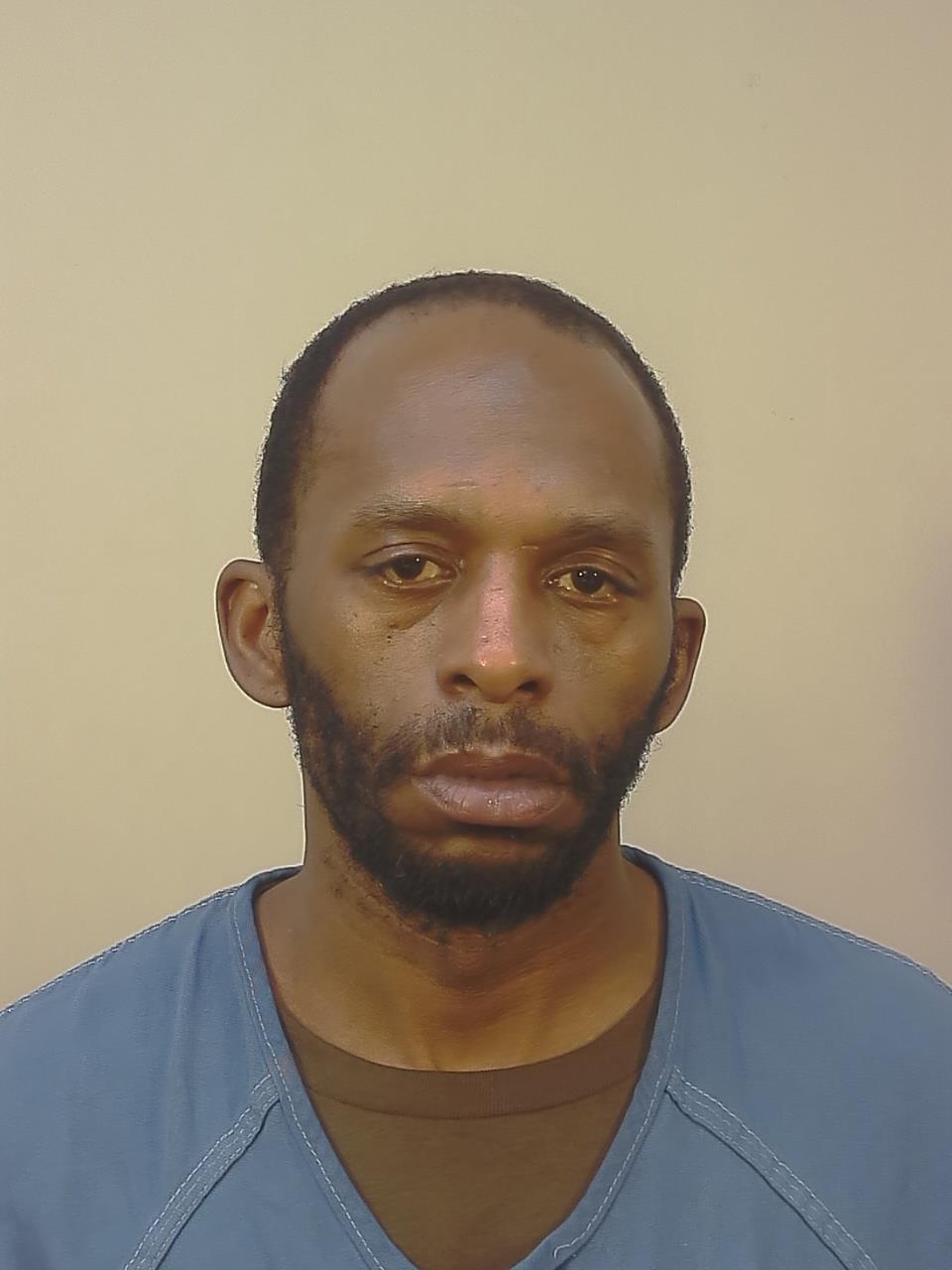 Booking photo - BRIAN DEALMAR FREEMAN - Dane, Wisconsin