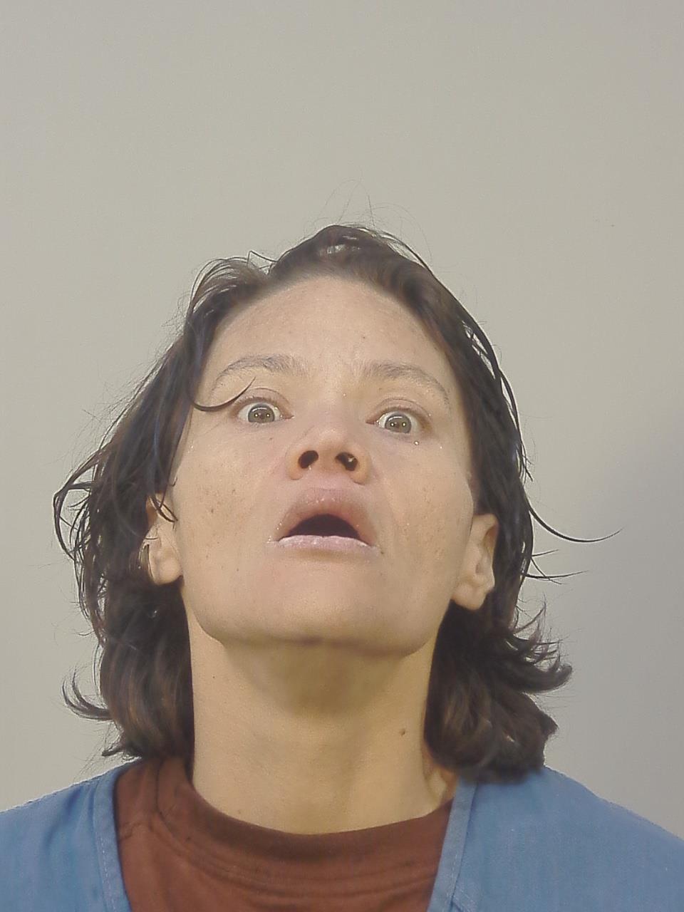 Booking photo - CHARYSSE ELDRI LANGLOIS - Dane, Wisconsin