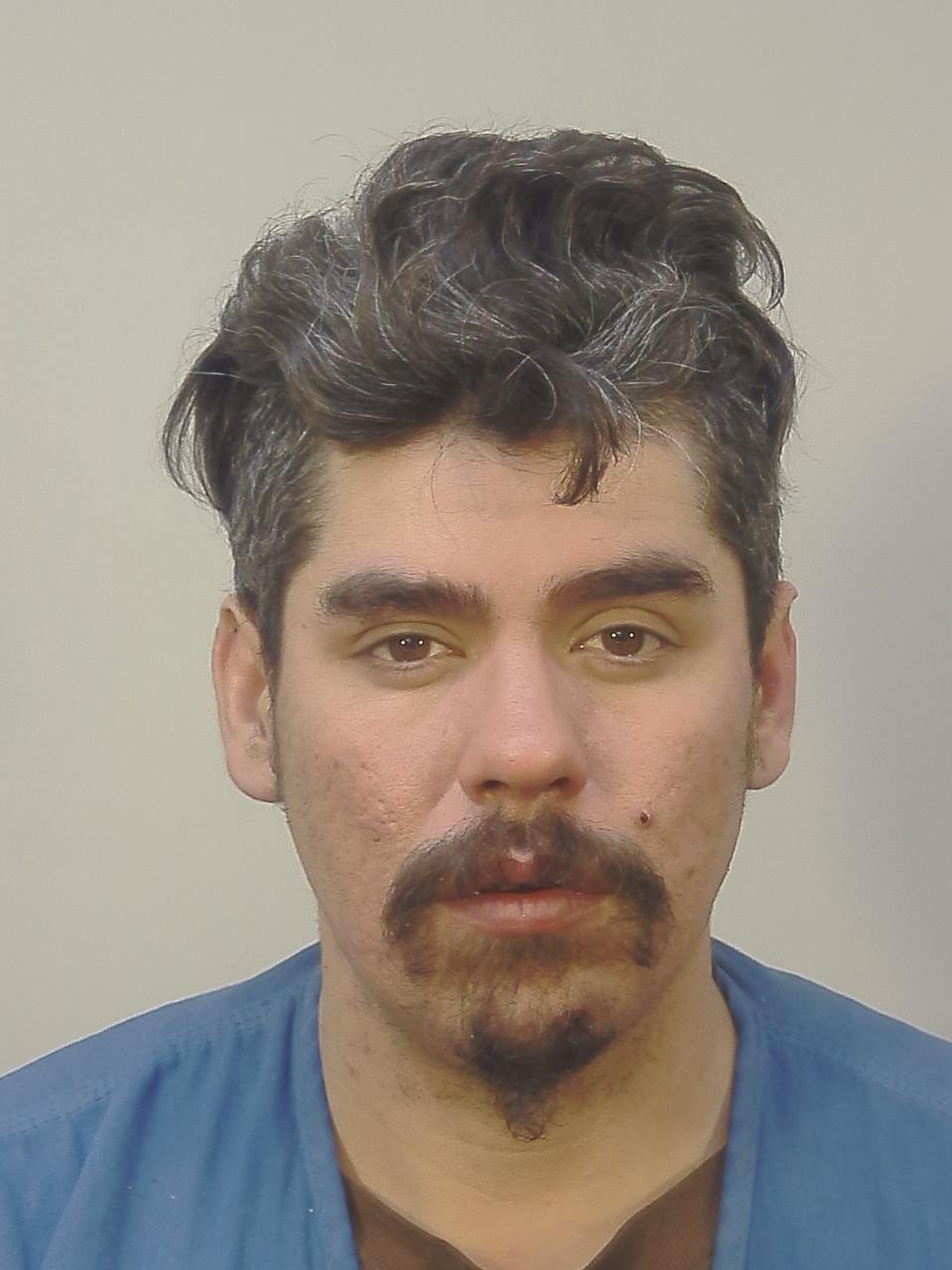 Booking photo - DAKOTA PATRICK LAWVER - Dane, Wisconsin