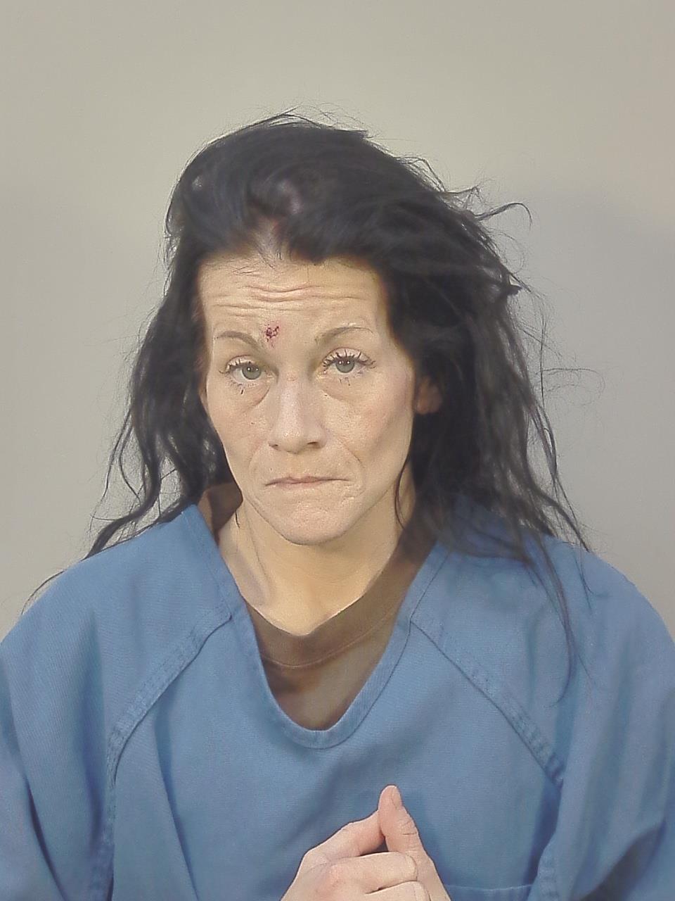 Booking photo of DANIELLE CHRISTINE FOLTMAN