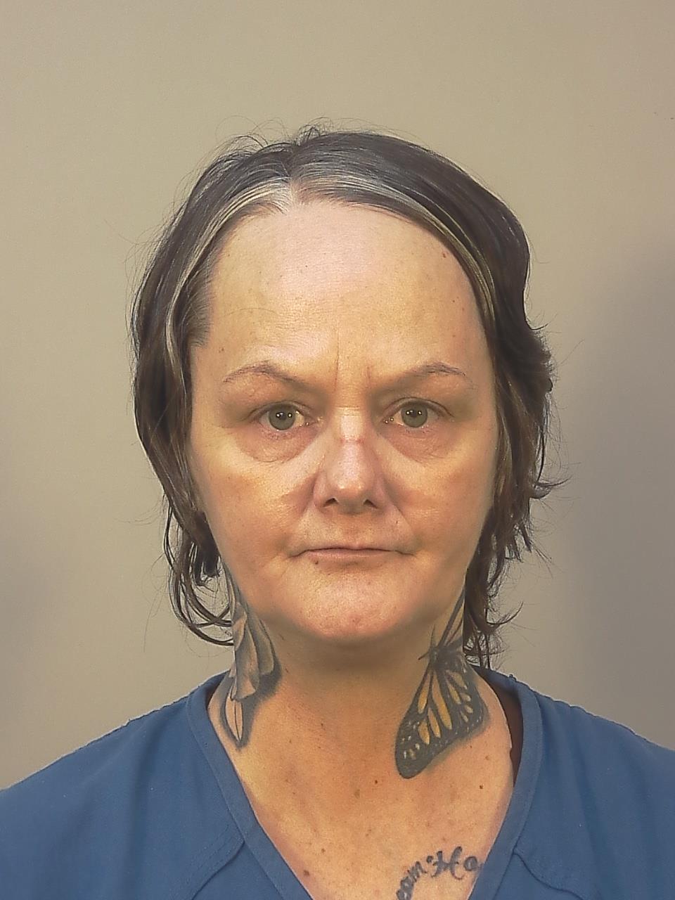 Booking photo - DANIELLE LEE GARNER - Dane, Wisconsin