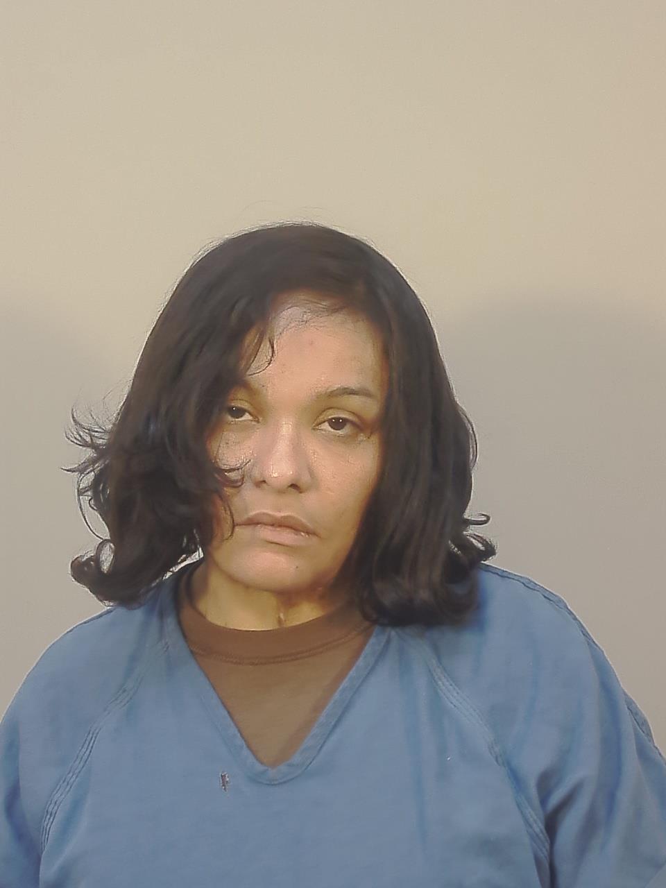 Booking photo - DIANA MARIA GARCES PEDROZA - Dane, Wisconsin
