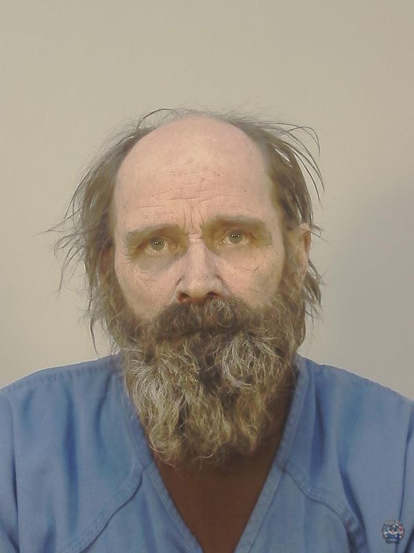 Booking photo of DONALD EDWARD BRIESE