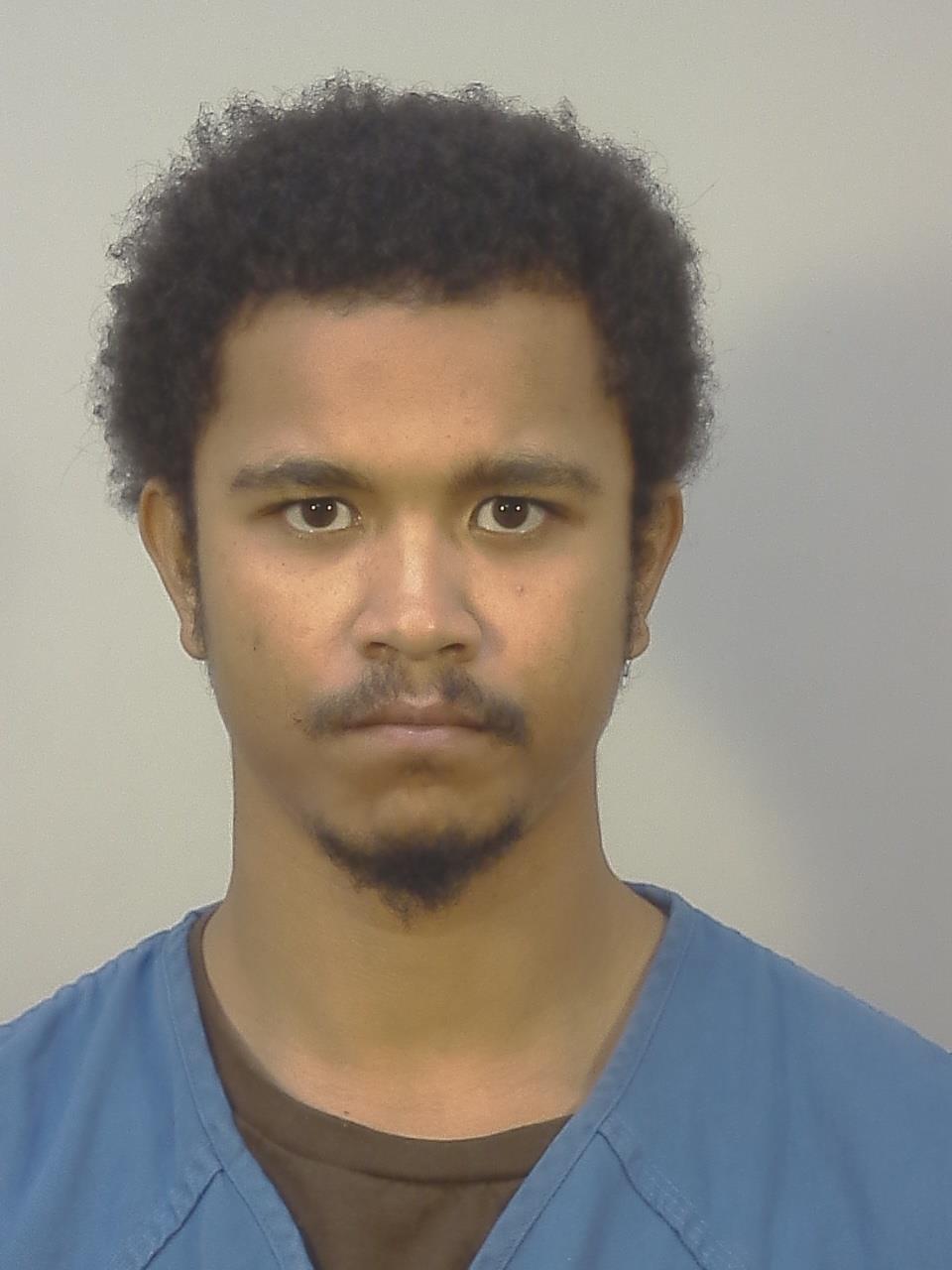 Booking photo - DONYELL LASHAWN LOVE - Dane, Wisconsin