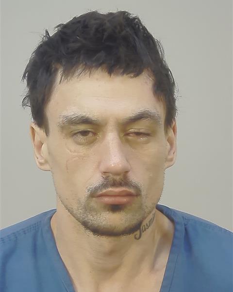 Booking photo - DYLAN MAHIAI KAIOULA - Dane, Wisconsin