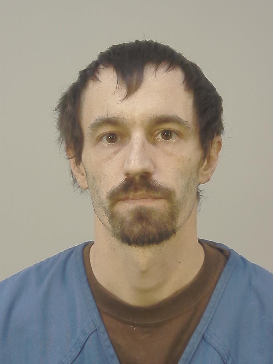 Booking photo - HARLEY DONALD BETHEL - Dane, Wisconsin