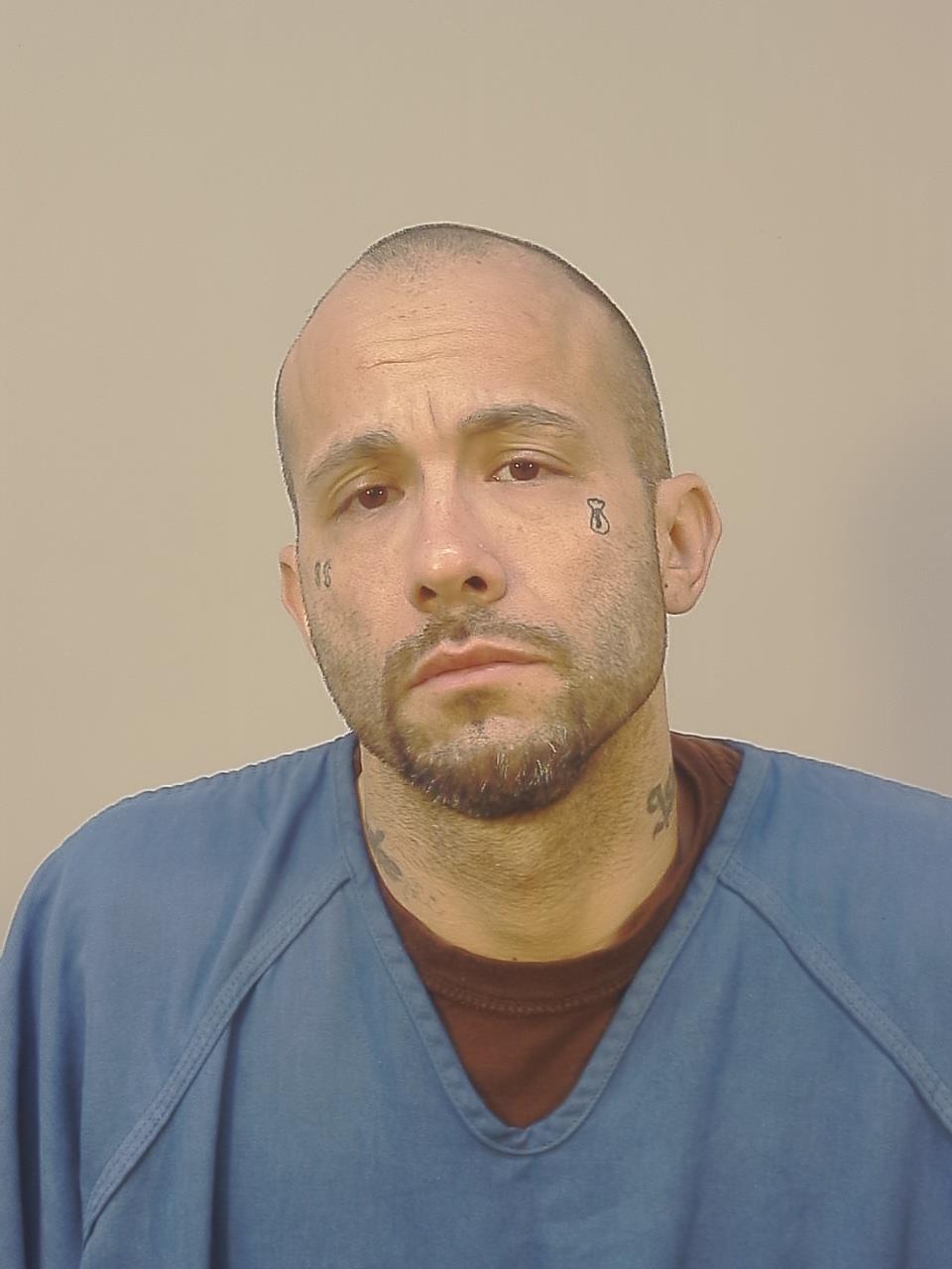 Booking photo - JAMES MARVIN FILLARDEAU - Dane, Wisconsin