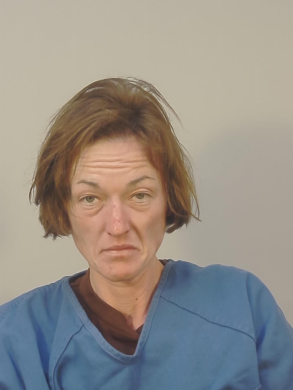 Booking photo - JESSICA MARY DUNICAN - Dane, Wisconsin