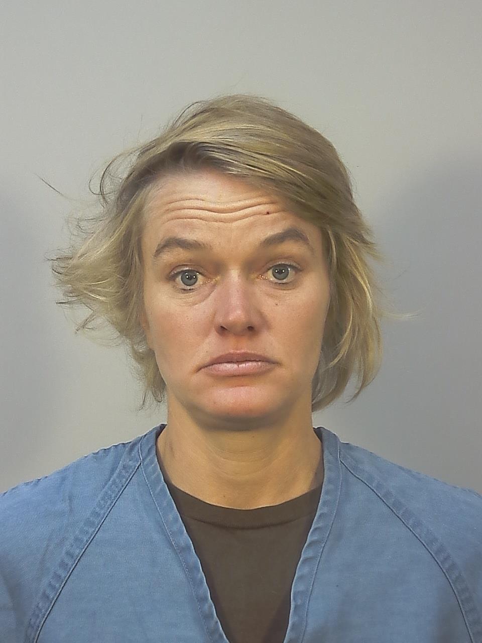 Booking photo - JOANNA KELLY LEE - Dane, Wisconsin