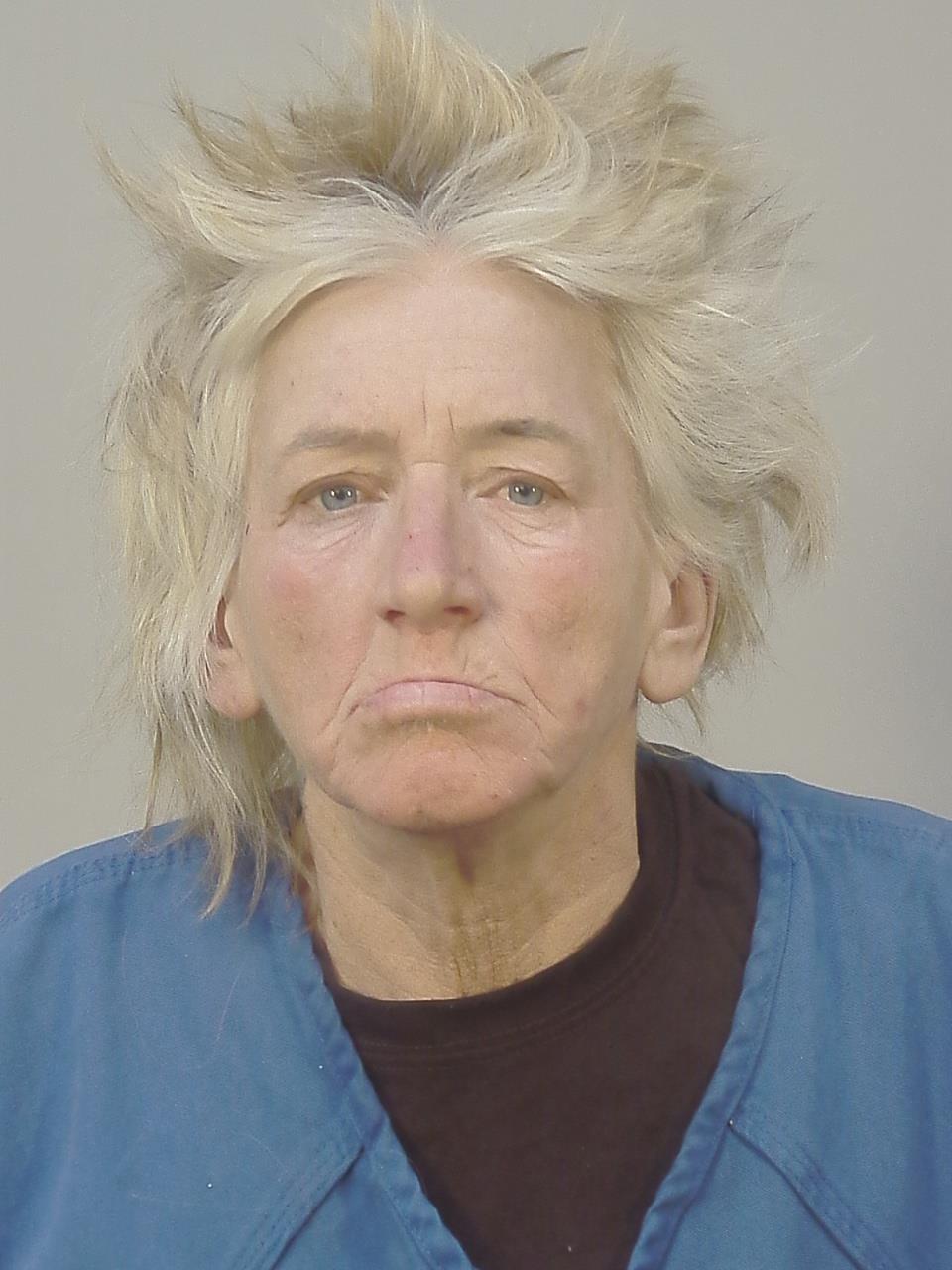 Booking photo - JULIE ANN HURLEY - Dane, Wisconsin